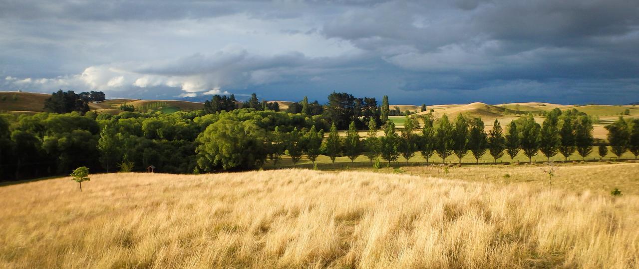 Tree House Lodge Bed & Breakfast Cheviot Экстерьер фото