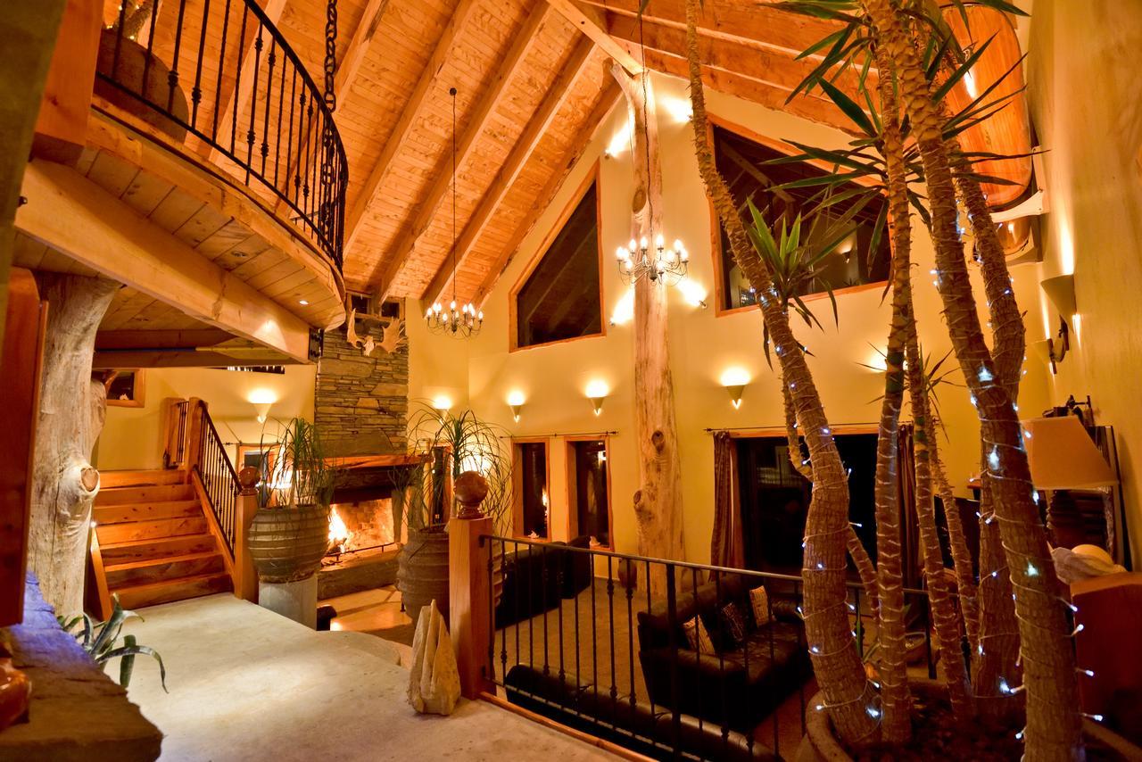 Tree House Lodge Bed & Breakfast Cheviot Экстерьер фото