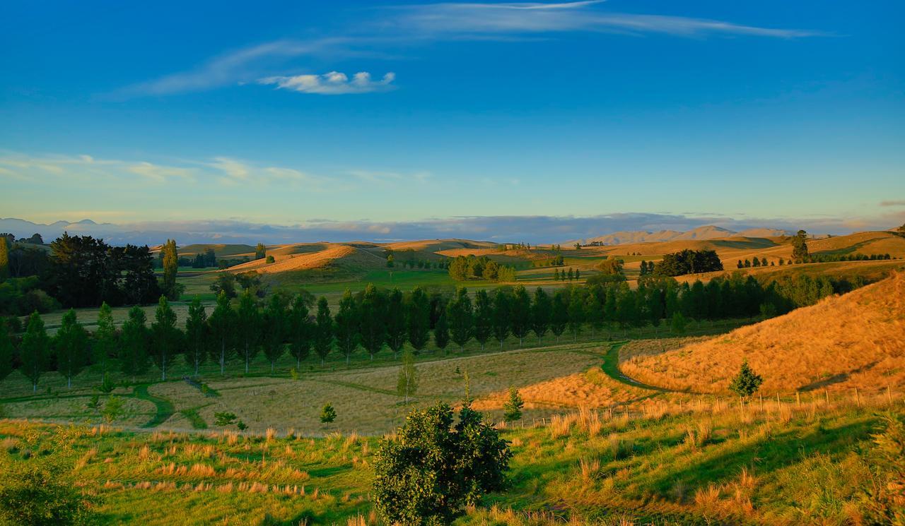 Tree House Lodge Bed & Breakfast Cheviot Экстерьер фото