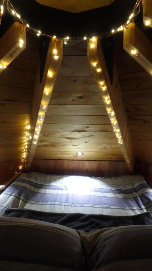 Tree House Lodge Bed & Breakfast Cheviot Экстерьер фото